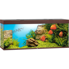 Juwel Aquarium Rio 450 Led Met Filter D.Bruin