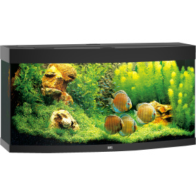 Juwel Aquarium Vision 260 Led Met Filter Zwart