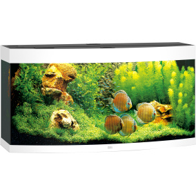 Juwel Aquarium Vision 260 Led Met Filter Wit