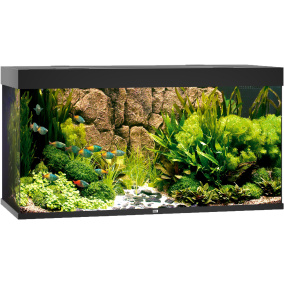 Juwel Aquarium Rio 350 Led Met Filter Zwart
