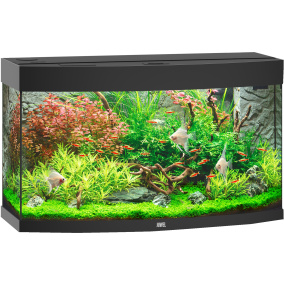 Juwel Aquarium Vision 180 Led Met Filter Zwart