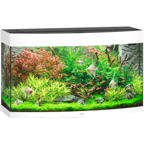 Juwel Aquarium Vision 180 Led Met Filter Wit
