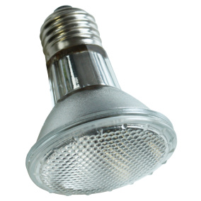 Komodo Halogeen Spot Lamp Es - 50 Watt