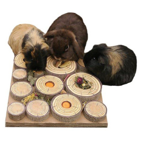 Maze-a-log Treat Challenge 30X30X5 Cm