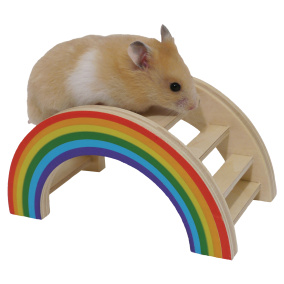 Rosewood Regenboog Speelbrug 14X8X7 Cm