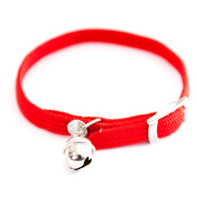 Martin Halsband Kat Elastisch Nylon Rood
  30X1 Cm