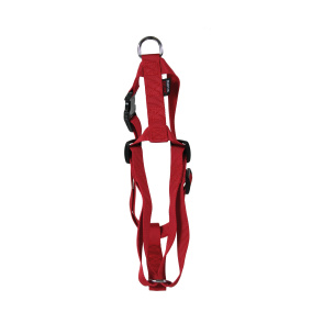 Martin Hondentuig Basic Nylon Rood
  35-50X1,6 Cm