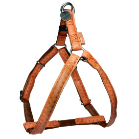 Macleather Tuig Bruin 50-75X2 Cm