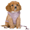 Trixie Hondentuig Junior Puppy Softtuig
  Met Riem Lila 36-50X1 Cm / 2 Mtr