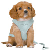 Trixie Hondentuig Junior Puppy Softtuig
  Met Riem Mintgroen 36-50X1 Cm / 2 Mtr