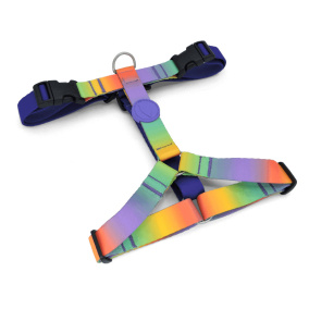 Morso Hondentuig H-tuig Gerecycled Spring
  Blossom 40-55X1,5 Cm