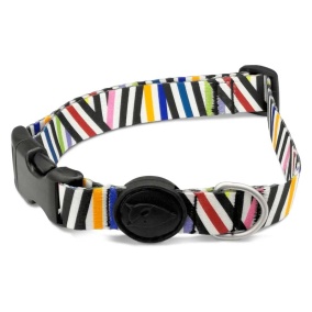 Morso Halsband Hond Gerecycled Spaghetti
  Incident 37-58X2,5 Cm