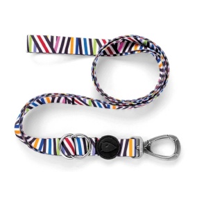 Morso Hondenriem Verstelbaar Gerecycled
  Spaghetti Incident 65-200X2,5 Cm 20-80 Kg