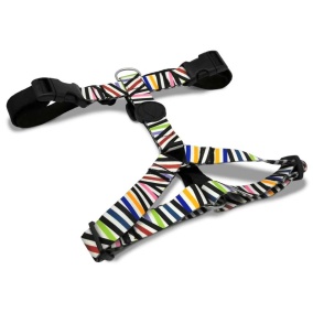 Morso Hondentuig H-tuig Gerecycled
  Spaghetti Incident 60-80X2,5 Cm