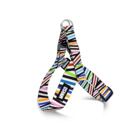 Morso Mini Hondentuig Verstelbaar
  Gerecycled Spaghetti Incident 29-38X2,5 Cm