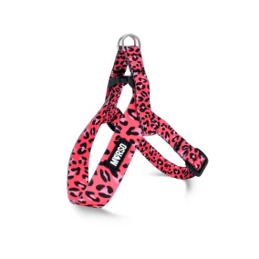 Morso Mini Hondentuig Verstelbaar
  Gerecycled Bubble Leo Roze 29-38X2,5 Cm