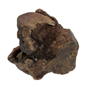 Dog Woodzzz Kauwwortel Met Olijfolie Xl 751-1000 Gr