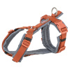 Trixie Hondentuig Premium Trekking Roest
  Bruin / Grafiet Grijs 62-74X2,5 Cm