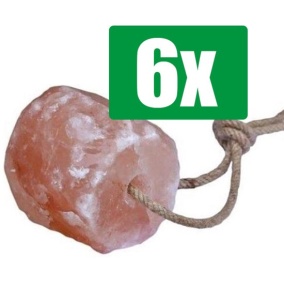 PetsHome Himalaya Liksteen Zout 2 tot 3 kg - Paarden - 6 stuks