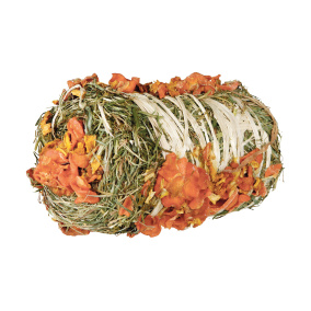 Trixie Hooibaal Met Pompoen En Wortel 18X10X10 Cm 200 Gr