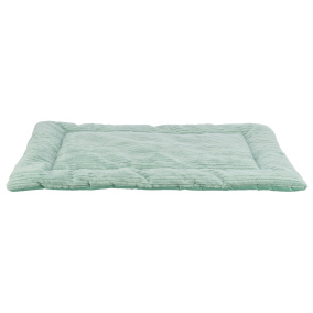 Trixie Ligmat Jonna Ribfluweel Salie Groen 90X65 Cm